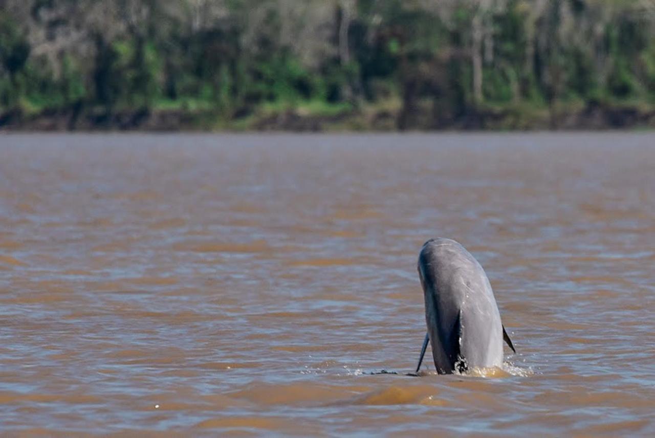 Amazon Muyuna Lodge Paraiso Екстер'єр фото
